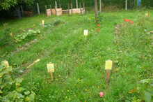 Moev tussen lessen inrichting speelplaats info moestuinalt220
